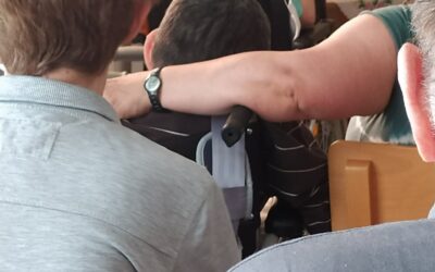 CSALÁDI NAPON A LEVENDULA IDŐSEK OTTHONÁBAN