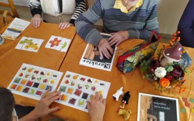 Demencia prevenciós program